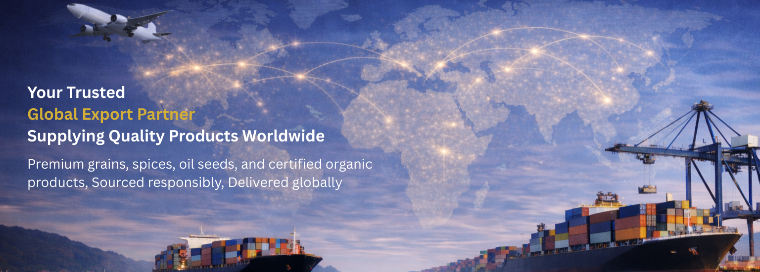 blue and white minimalist export products presentation (3)