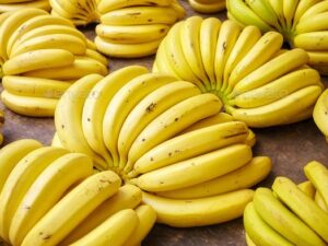 ripe banana bunches on a local market.